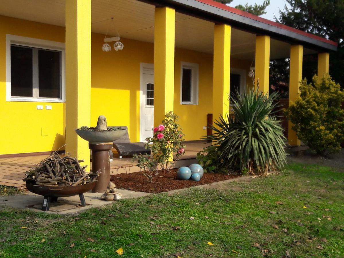 Bungalow At Lake Alte Donau Wien Ngoại thất bức ảnh